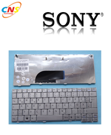 Bàn phím Laptop Sony W